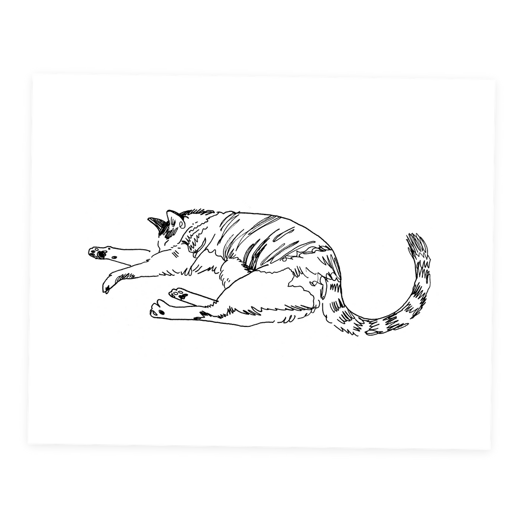 Cat #3 - Sketchbook Print