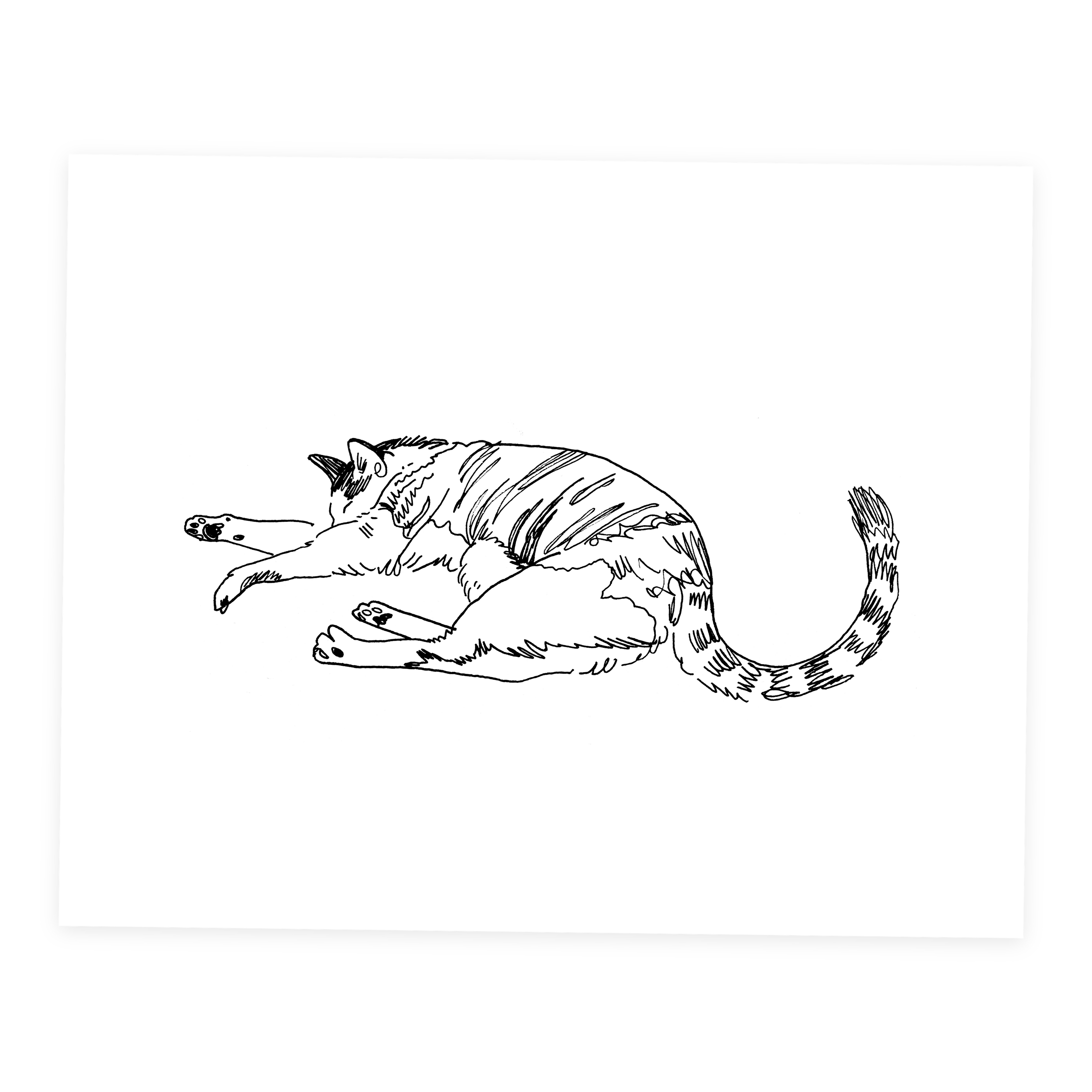 Cat #3 - Sketchbook Print