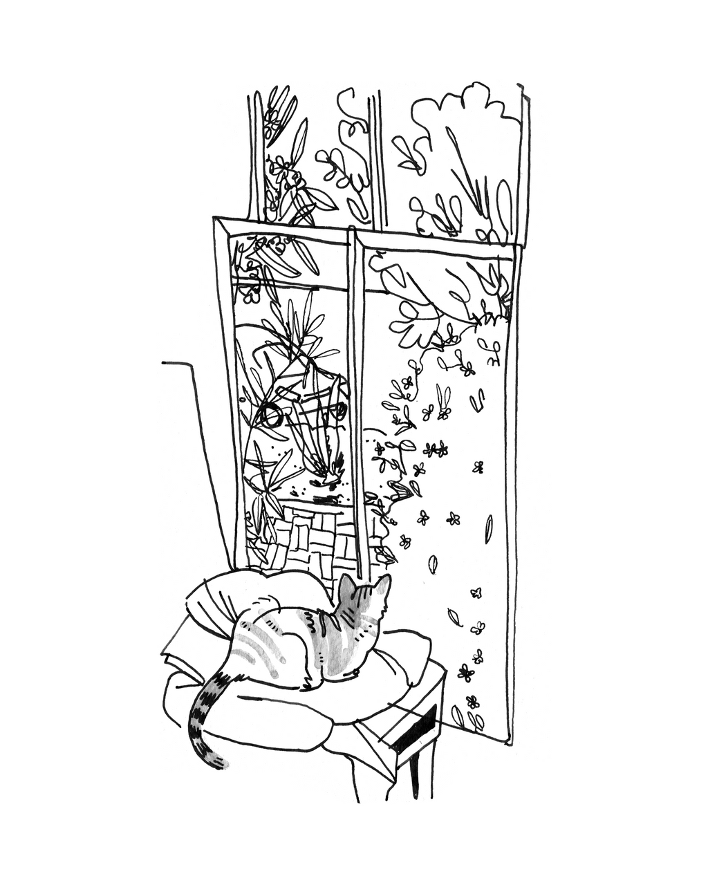 Cat #1 - Sketchbook Print