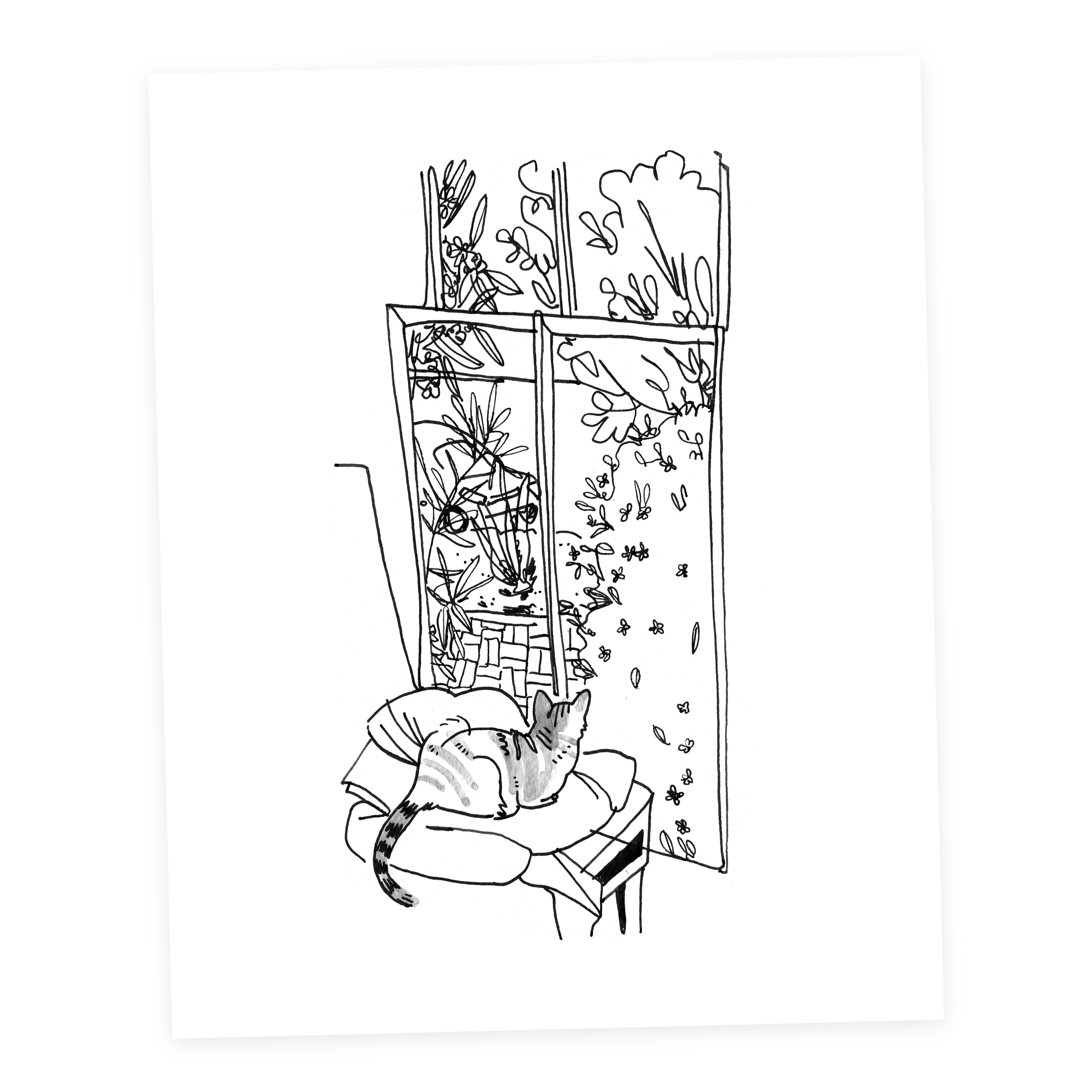 Cat #1 - Sketchbook Print