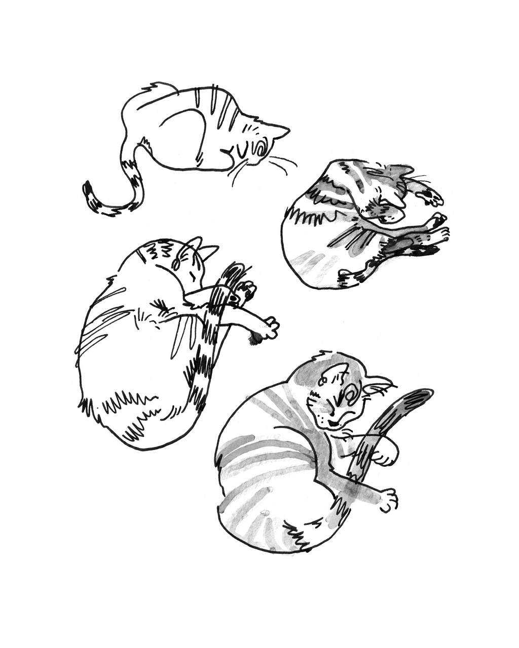 Cat #2 - Sketchbook Print