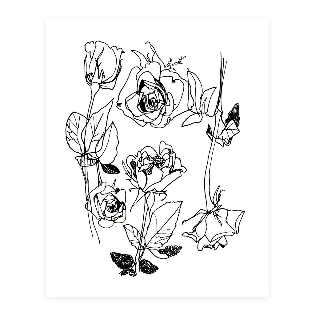 Rose Study - Sketchbook Print