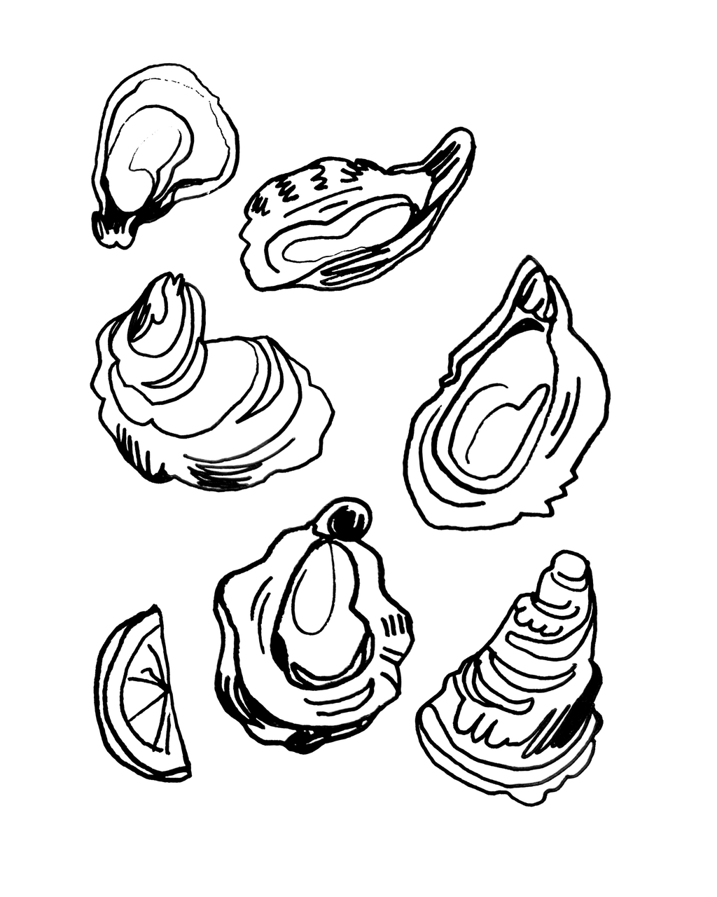 Oysters #2 - Sketchbook Print