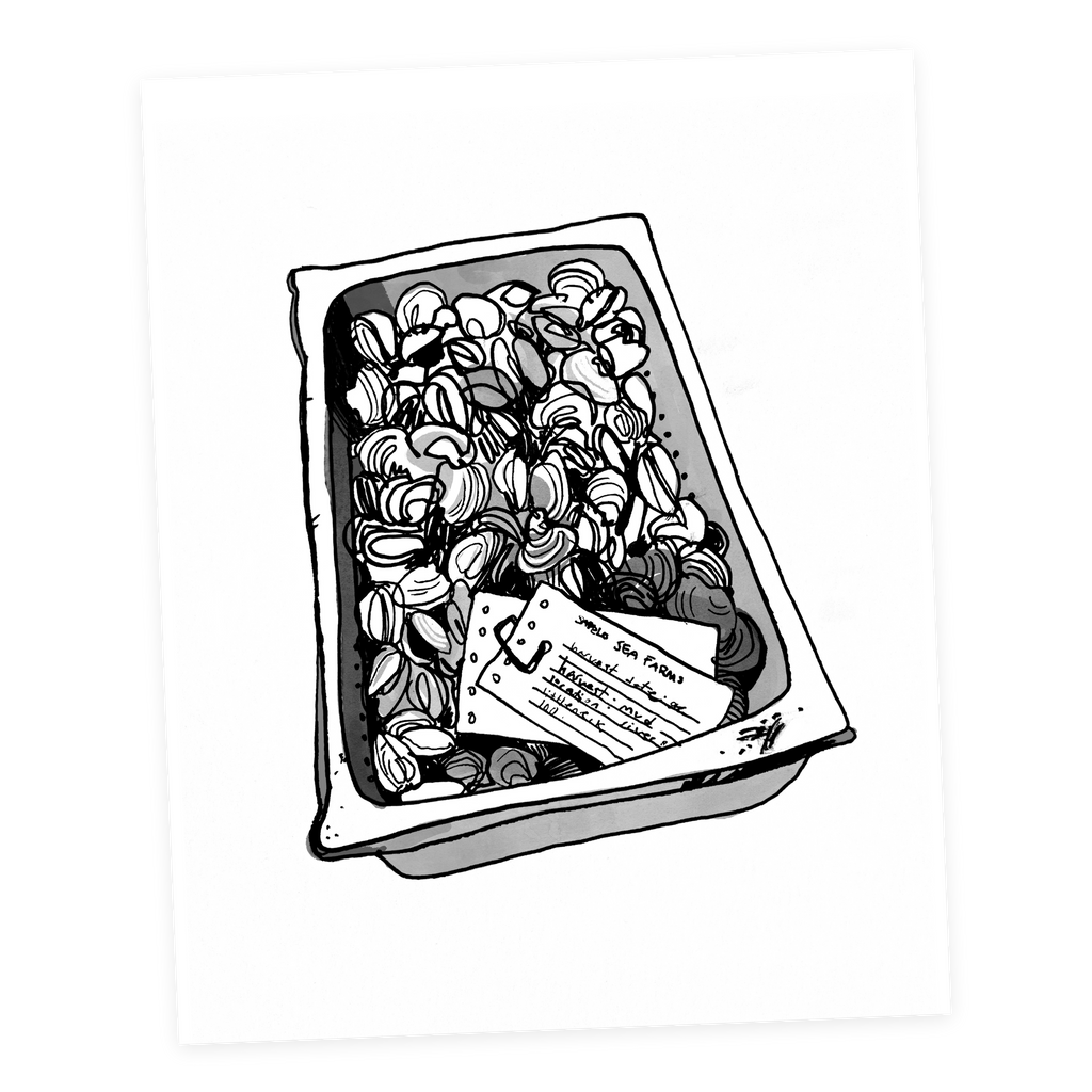 Lil' Neck Clams - Sketchbook Print