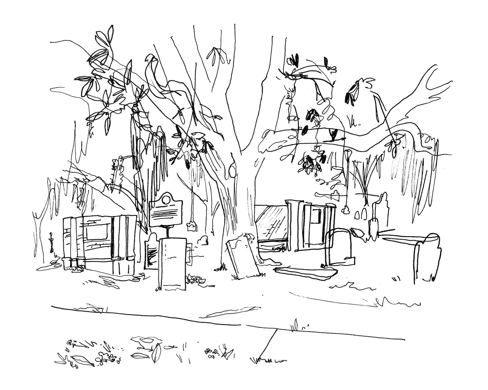 Savannah Cemetery - Sketchbook Print