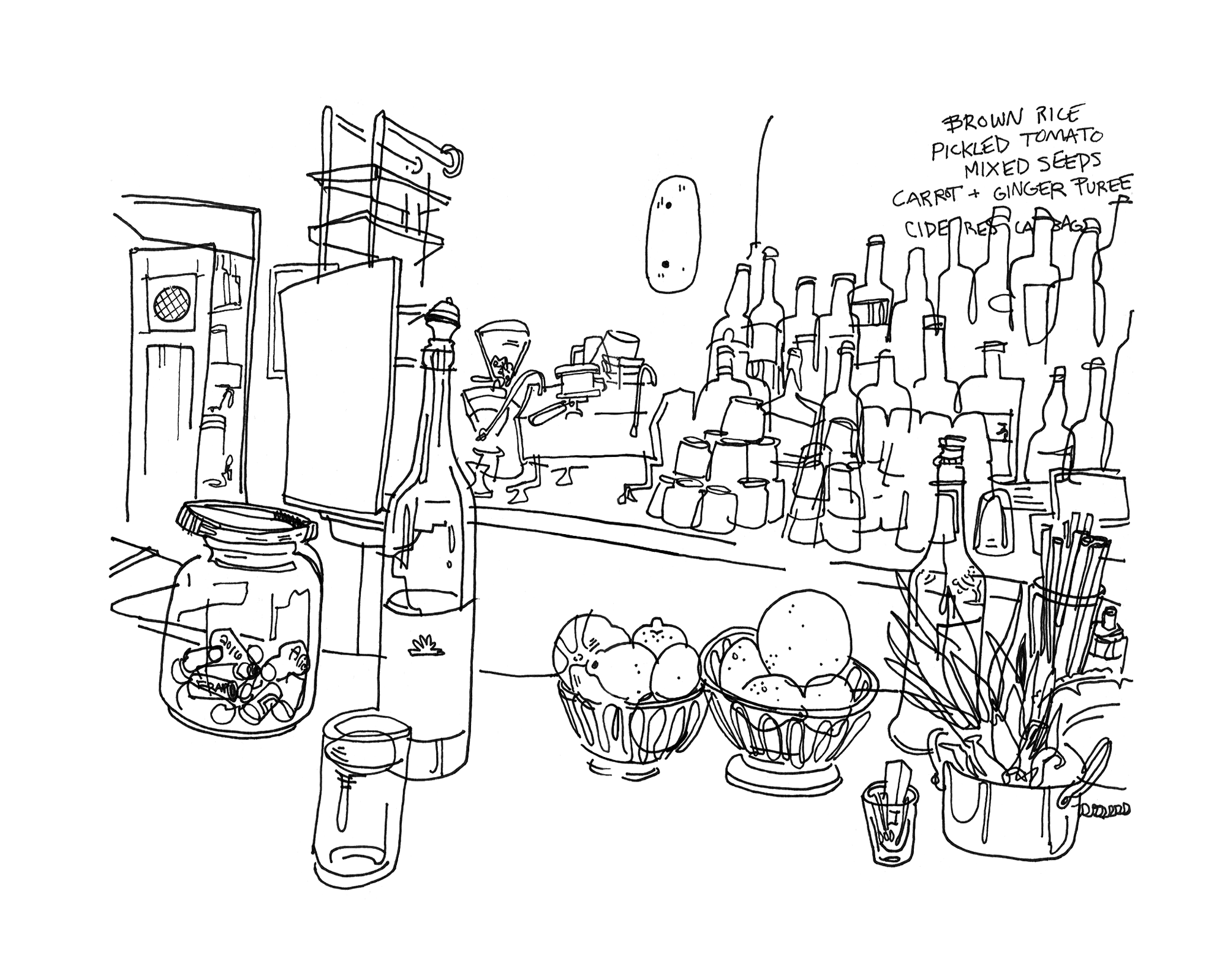 Fat Radish - Sketchbook Print