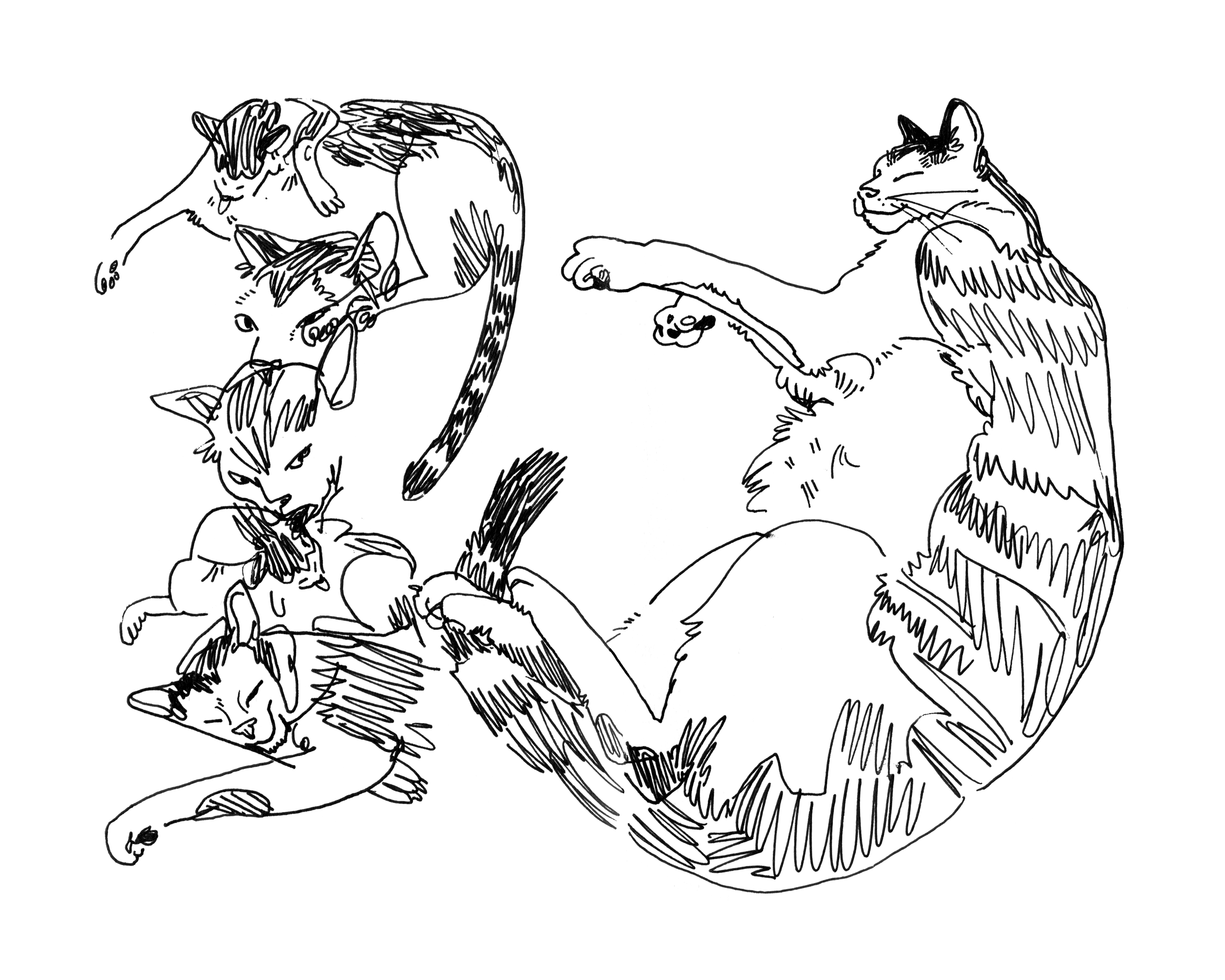 Sleepy Cat Studies - Sketchbook Print