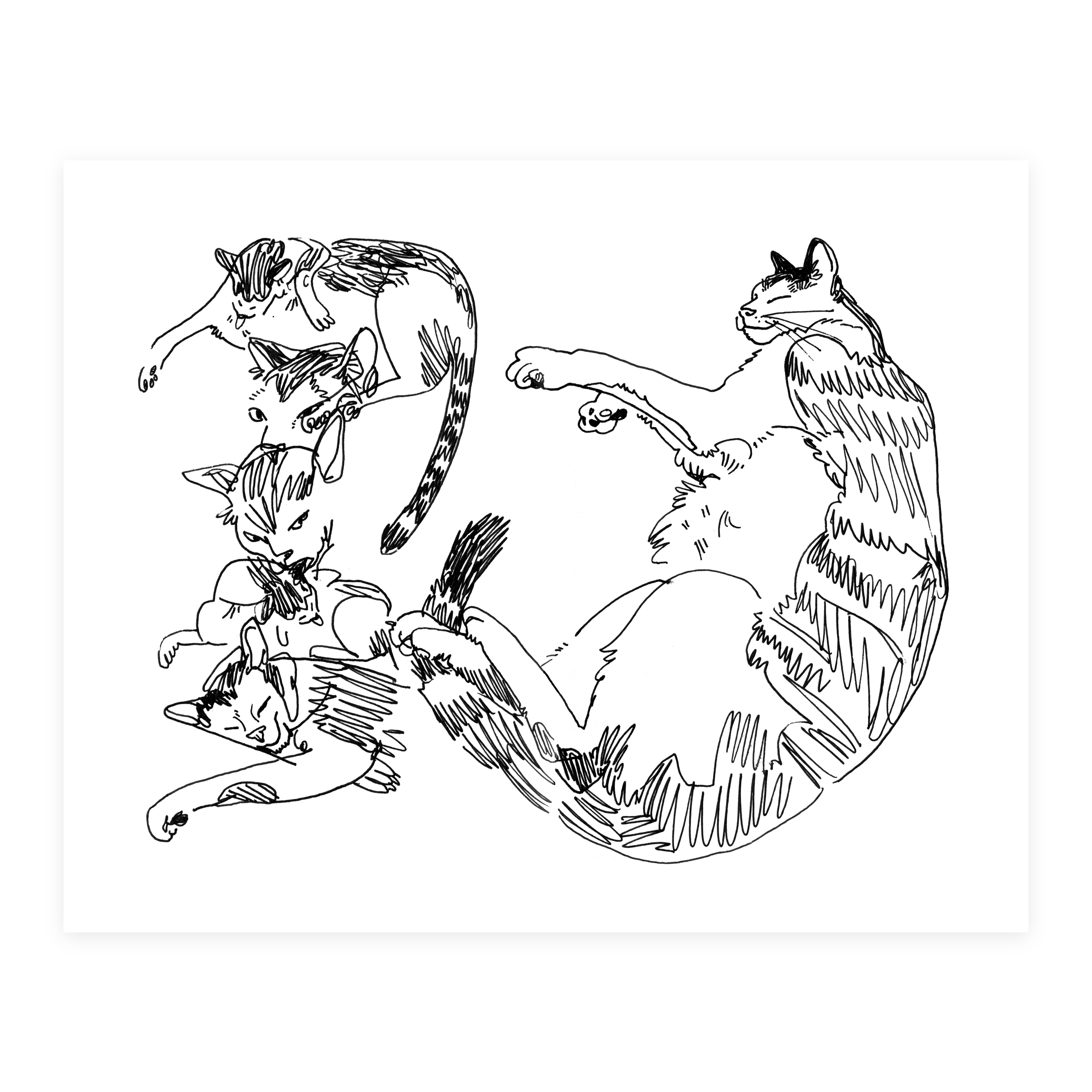 Sleepy Cat Studies - Sketchbook Print