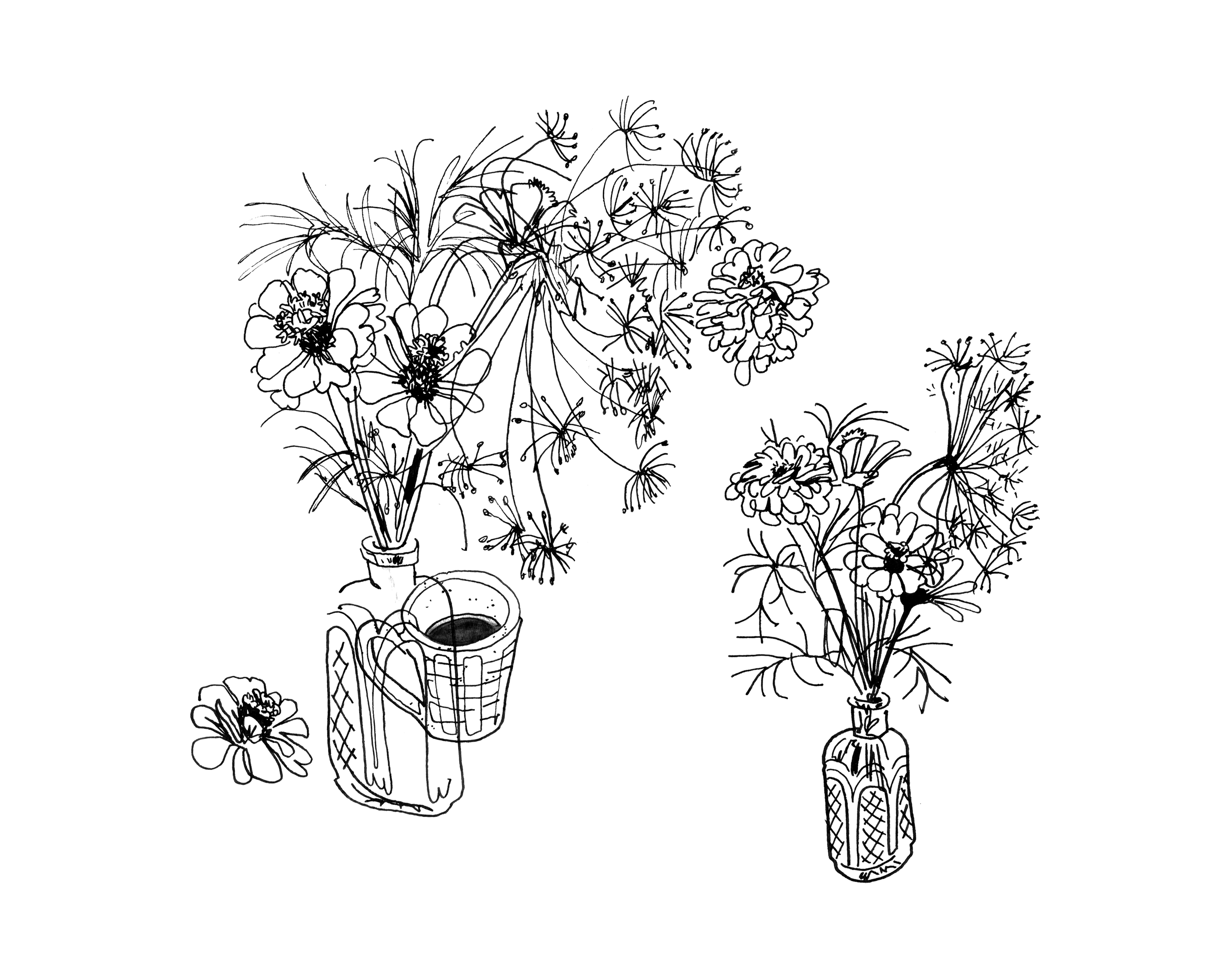 Zinnias Study - Sketchbook Print