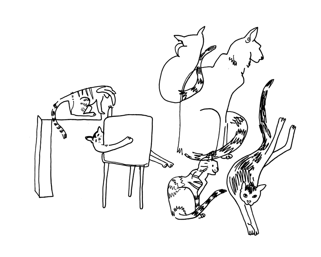 Cats Playing - Sketchbook Print