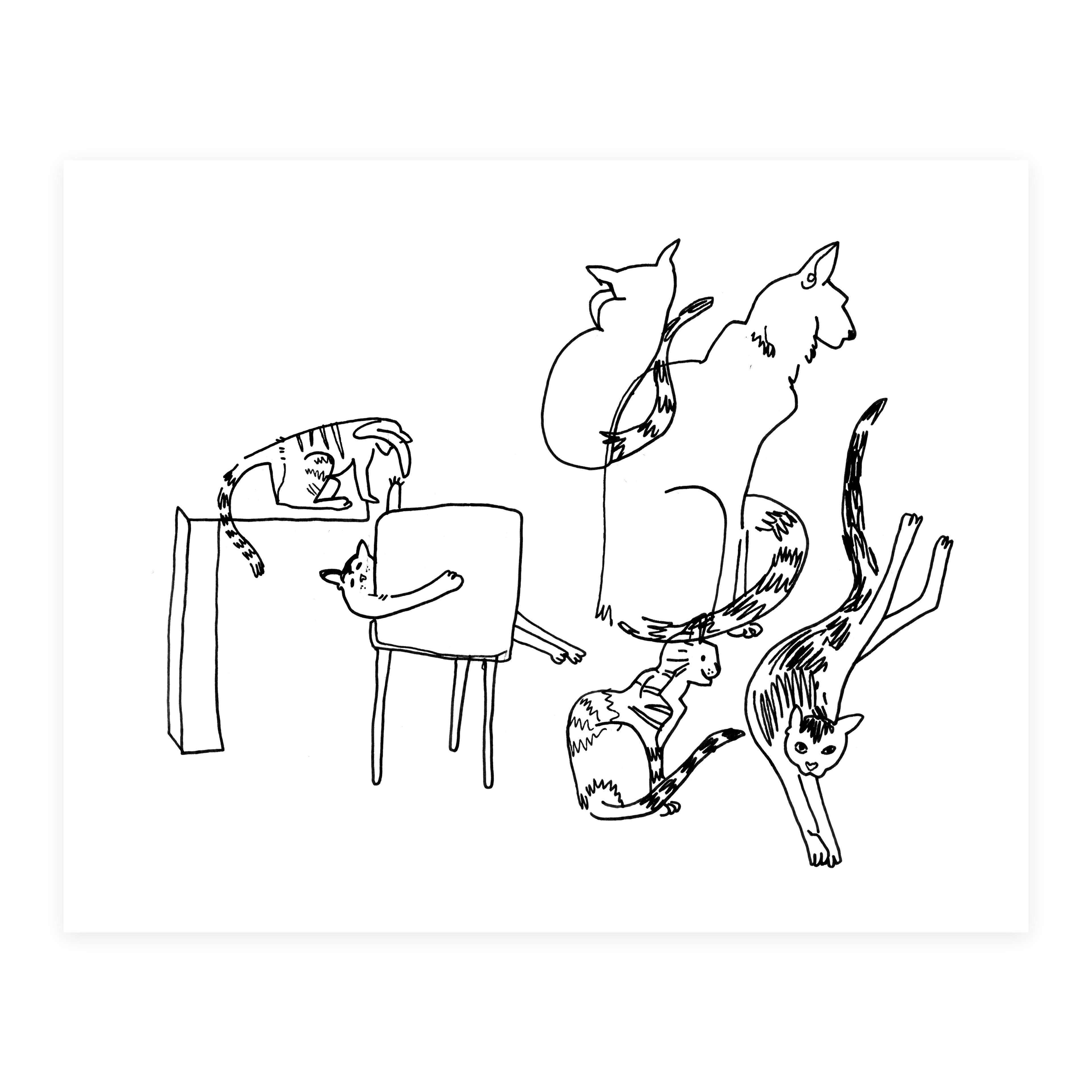 Cats Playing - Sketchbook Print