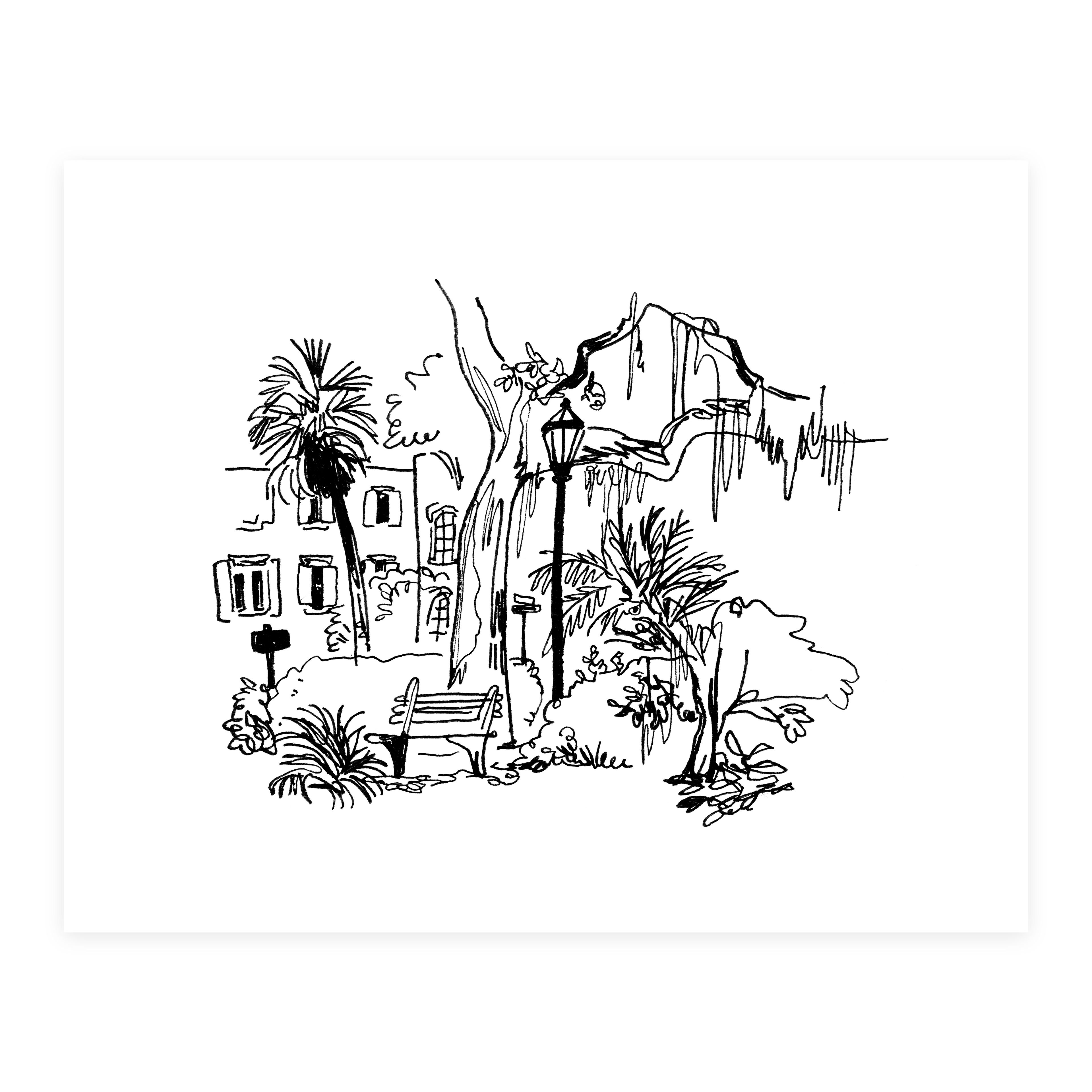 View from Monterey Square - Sketchbook Print