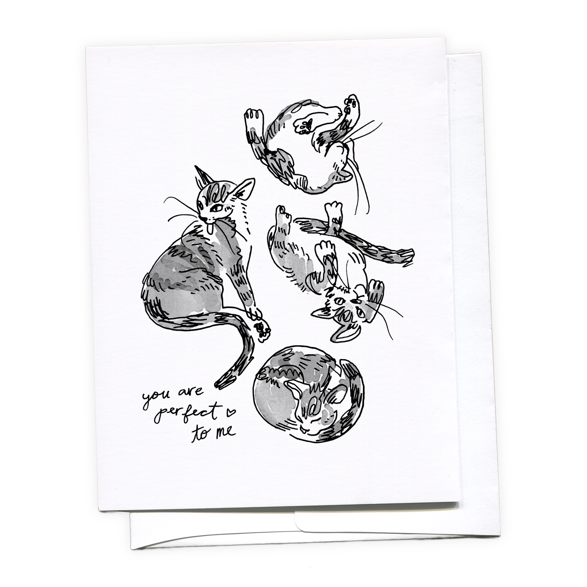 You're Perfect To Me - Cat Greeting Card